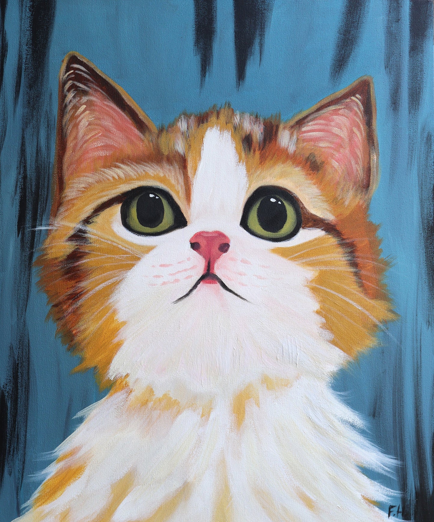 staring Cat