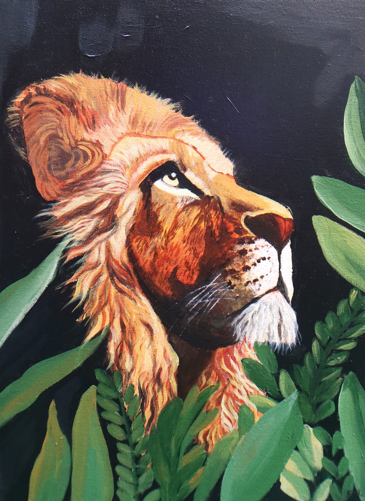 wild lion  print