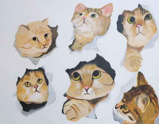 cat out of the paper